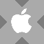Apple tokenized stock (xStock)