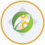 CEA Industries Tokenized bStocks