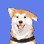 Hachiko