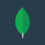 Mongodb Inc (Derivatives)