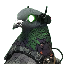 PJN